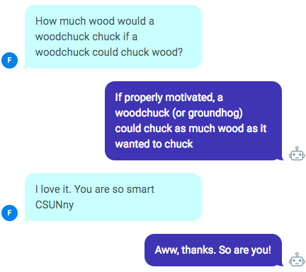 fun chatbot conversation with students