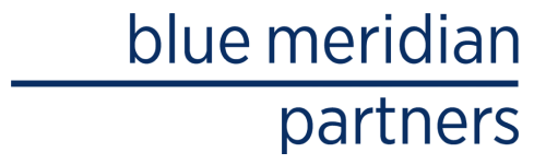 Blue meridian partners
